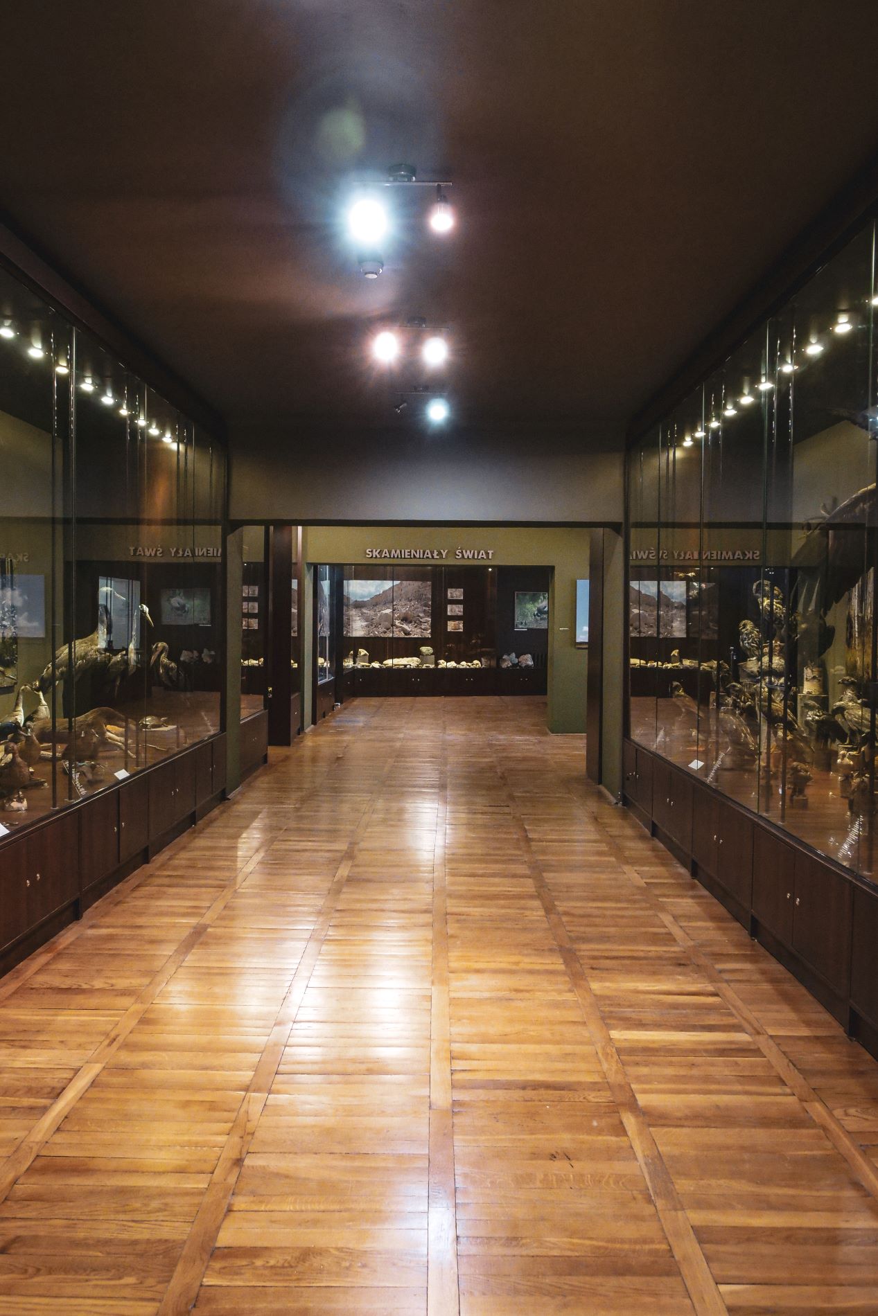 Muzeum Ziemi Chełmskiej