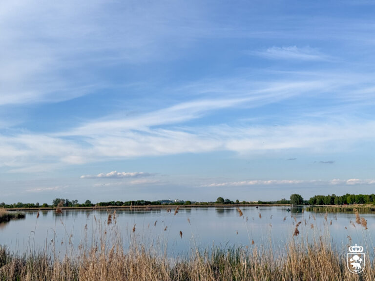 bulwar nad zalewem Żółtańce
