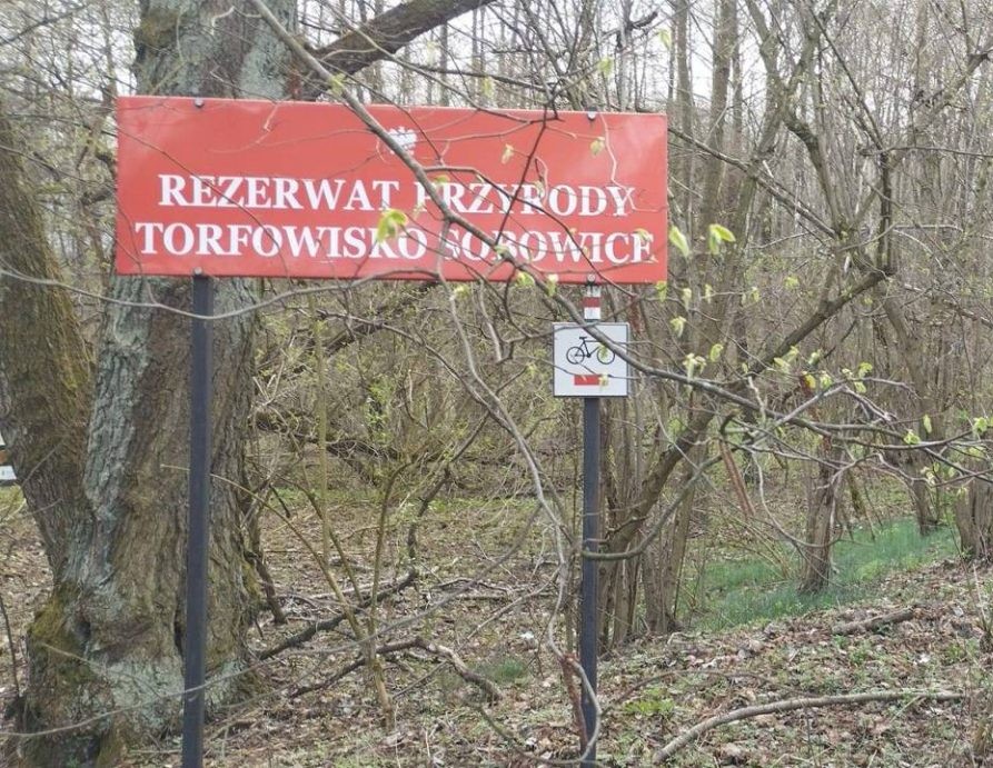Rezerwat Przyrody Torfowisko Sobowice - widok tablicy informacyjnej