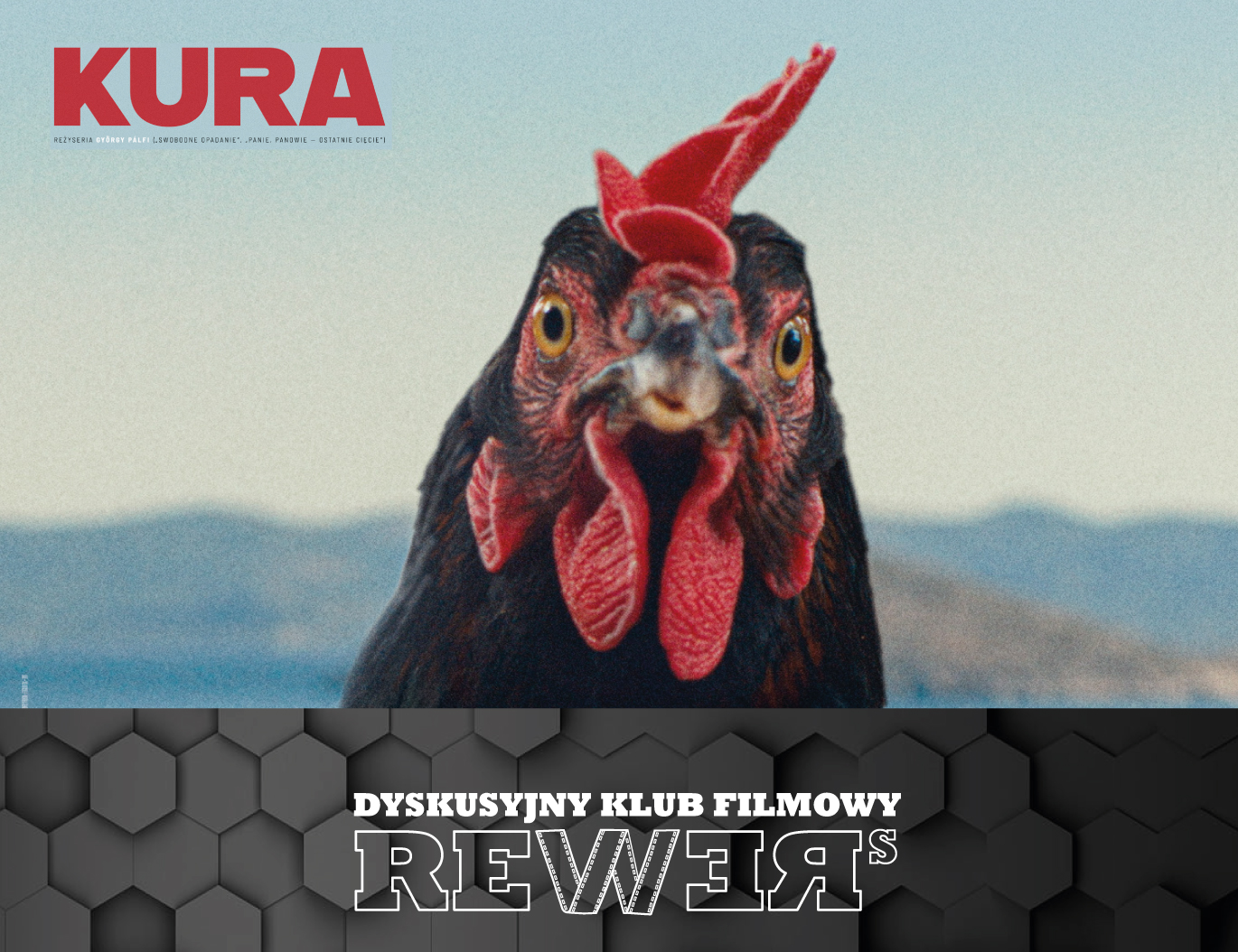 DKF REWERS – „Kura”, reż. György Pálfi